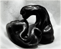 Peppers [5P]