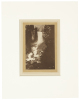 Four photographs attributed to George Banfield - 3