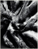 Three photographs by Robert K. Byers - 5