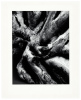 Three photographs by Robert K. Byers - 8