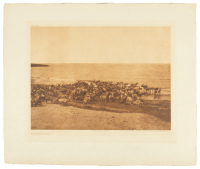Reindeer &ndash; Nunivak