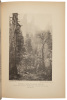 In the Heart of the Sierras: The Yo Semite Valley, both Historical and Descriptive and Scenes by the Way. Big Tree Groves - 3