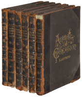 Animate Creation; Popular Edition of "Our Living World," A Natural History