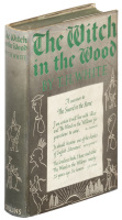 The Witch in the Wood
