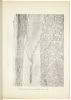 Report on Estimated Traffic and Earnings San Francisco-Oakland Bay Bridge -- July 29, 1936 - 3
