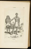 Lake Ngami; or, Explorations and Discoveries, During Four Years' Wandering in the Wilds of South Western Africa