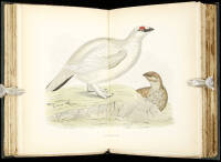 British Game Birds and Wildfowl