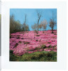 Six postwar Japanese photography books - 5