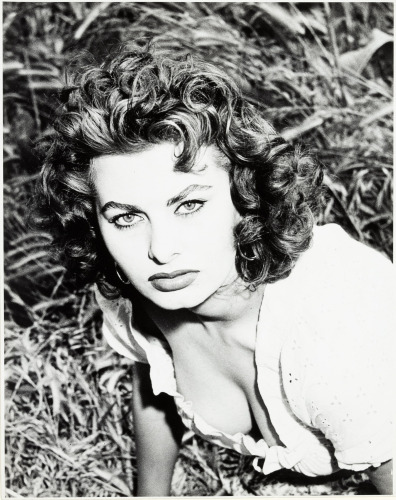 Sophia Loren