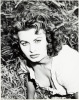 Sophia Loren