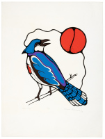 Blue Jay
