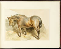 Studies in Animal Painting. With Eighteen Coloured Plates, From Water-Colour Drawings