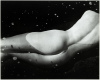 Nude Torso in Water