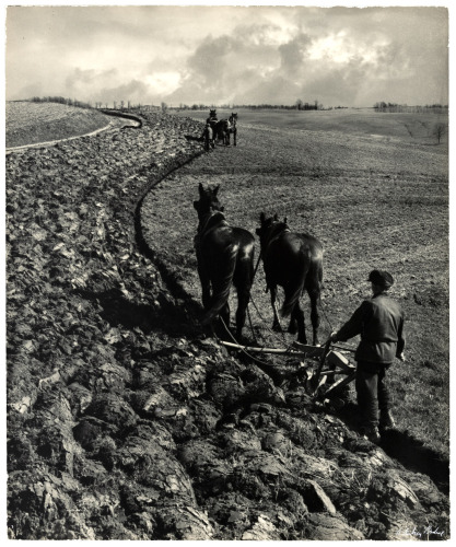 Contour Plowing