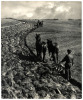 Contour Plowing