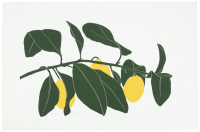 Lemons