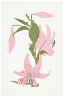 Lily