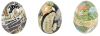 The Nancy Willard collection of autographed eggs - 3