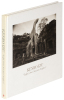 Light Over Ancient Angkor