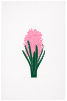 Hyacinth