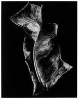 Untitled [Dead Leaf]