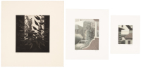 Window with Flowers [with] two lithographs by Robert Kipniss