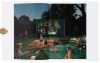 Domestic Vacations [with] Homegrown - 5