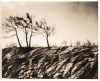 Escapes - 4