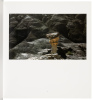 The Black Place - 3