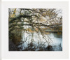 The River - 3