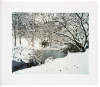The River - 4