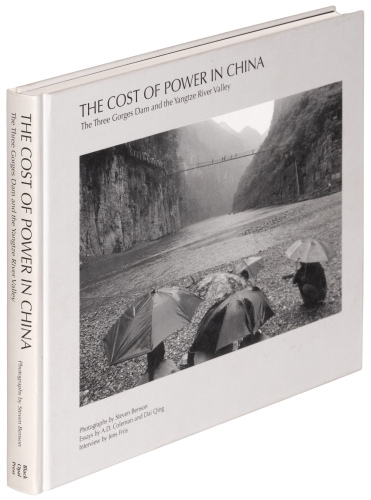The Cost of Power in China