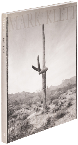 Saguaros
