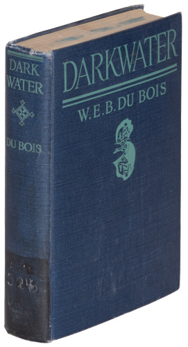 Darkwater: Voices from Within the Veil