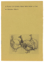 A Flock of Guinea Hens Seen From a Car