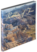 Ribbons of Time: The Dalquest Research Site