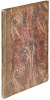 Architectura oder Bauung der antiquen auss dem Vitruvius