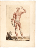 Anatomia per Uso degli Studiosi di Scultura e Pittura: Opera Postuma di Paolo Mascagni