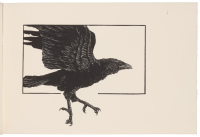 The Raven