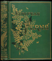 European Ferns: With Coloured Illustrations from Nature by D. Blair