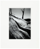 Campito Mountain #26 - 3