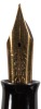 PLATINUM: Balance-Form Vintage Fountain Pen, Full Raden Decoration - 2