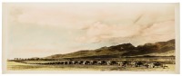 Color photograph of biplanes lined up for inspection at Wheeler Field on O'ahu, Hawaii