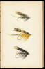 The Book of the Salmon