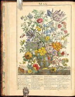 The Flower-Garden Display'd, In Above Four Hundred Curious Representations of the Most Beautiful Flowers; Regularly Dispos'd in the Respective Months of Their Blossoms...