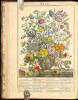 The Flower-Garden Display'd, In Above Four Hundred Curious Representations of the Most Beautiful Flowers; Regularly Dispos'd in the Respective Months of Their Blossoms...