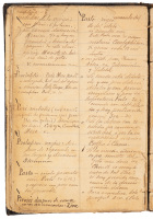 Manuscript in diary format, with diseases, maladies and traumatic injuries listed alphabetically with treatments