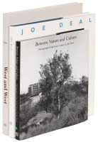 Three works by Joe Deal