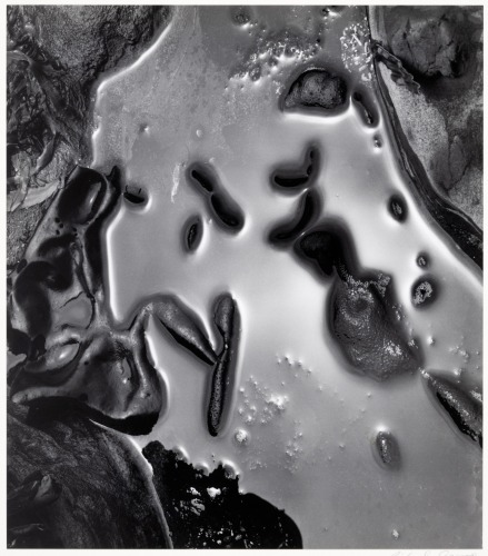 Tidepool - Point Lobos
