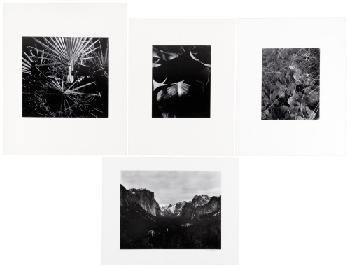 Four gelatin silver prints by Bob Werling